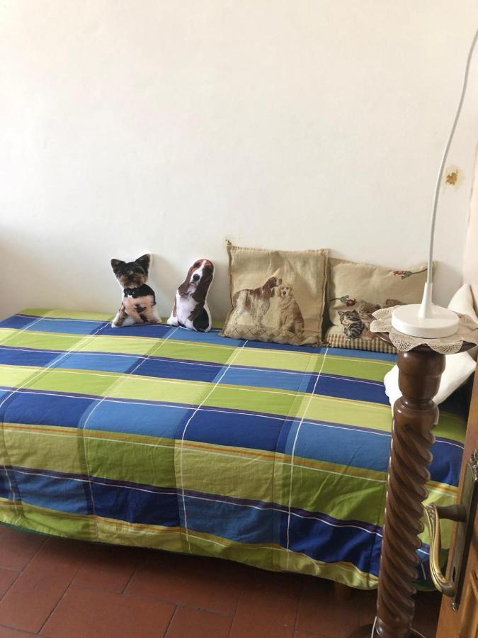 Solo Traveller Bedroom In Homestays City Center 피렌체 외부 사진